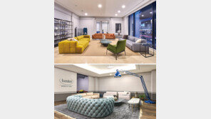 [Living&]프리미엄 리빙 셀렉트숍의 선두주자 ‘에이스 에비뉴’ 