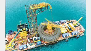 LS그룹, “글로벌 조직 현지화로 해외사업 효율 높여라”