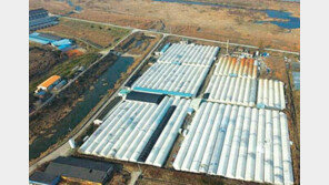 자이아쿠아팜, 국내 최대 규모 ‘장어양식장’ 투자자 모집