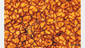 ‘쌀알 무늬’ 같은 태양의 표면 첫 포착