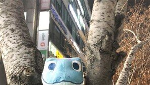 퇴근길에 만난 공룡[고양이 눈]