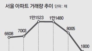 12월 8005건→1월 1800건… 서울 아파트 거래량 급감