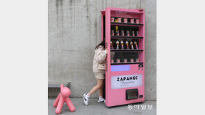 문의 저편[고양이 눈]