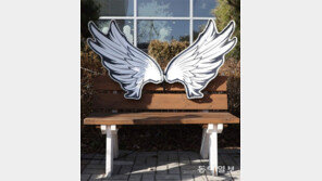 날개의 주인[고양이 눈]