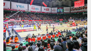 KBL, 2019~2020 D-리그 무(無)관중 경기 진행