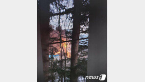 정월대보름 강원 지역 산불 잇따라…실화자 2명 검거