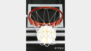 빛나는 골[고양이 눈]