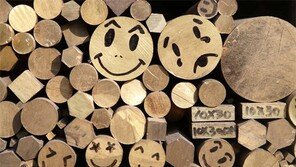 좋은 일 있나요[고양이 눈]