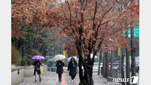 전국 대부분 비…평년보다 기온 높아 ‘포근’