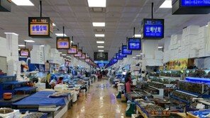외출 보다 방콕, 외식 대신 배달… 집 나서기 꺼리며 번지는 '언택트 소비' 문화
