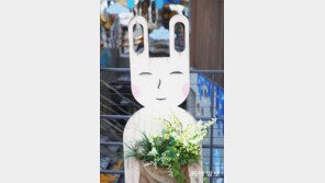 봄이 왔나요[고양이 눈]