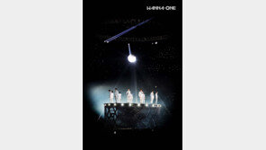 “워너원 콘서트 티켓 팔아요” 속여 돈 가로챈 20대 징역 3년