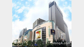 롯데쇼핑, 지난해 영업益 28.3%↓… 소비 둔화에도 백화점·홈쇼핑 ‘선방’