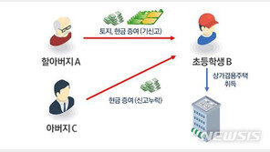 할아버지 찬스로 아파트 산 초딩…‘편법증여’ 딱 걸렸네