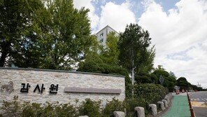부적절 언행·출입 관리 허술…감사원, 국가대표 및 선수촌 운영 관리실태 결과 발표