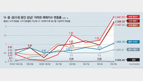풍선효과에 두달새 2억↑… ‘수용성’ 핀셋규제 할듯 