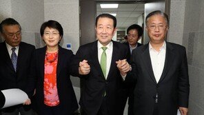 ‘기호3번’ 민주통합당 창당 또 삐끗…2시간만에 제동 건 손학규