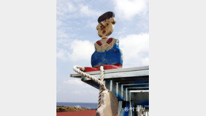 우도의 피노키오[고양이 눈]