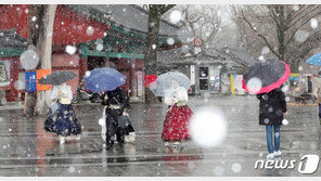 서울 올겨울 가장 많은 눈 내려… 17일 출근길 다시 펑펑