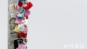 사랑의 자물쇠[고양이 눈]