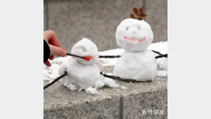 꽃단장 눈사람[고양이 눈]