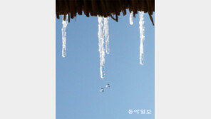 고드름[고양이 눈]