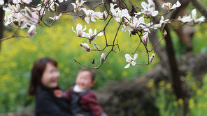 [날씨] 20일 봄기운 성큼…경기·충청 미세먼지 ‘나쁨’