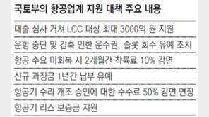 자격심사후 3000억 지원… 항공업계 “실효성 의문”