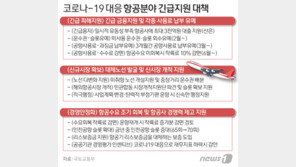 “3000억원 대출 반갑지만…” 정부 지원에도 속 끓이는 항공업계