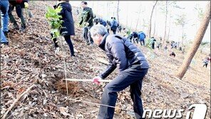 산림청, 올해 서울 남산 면적의 77배만큼 나무 심는다