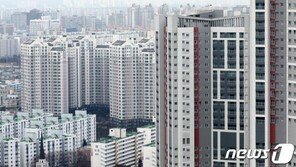 [2·20대책]두 달만에 또 부동산 대책 왜…“느슨한 규제에 풍선효과”