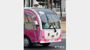 국회 꼬마자동차[고양이 눈]