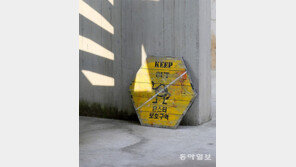 몬스터 보호구역[고양이 눈]