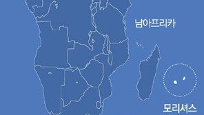 모리셔스에 격리된 韓 신혼부부 34명 결국 입국 거부→귀국
