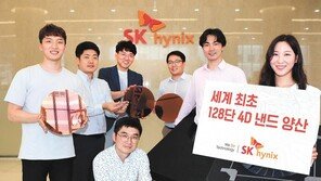 SK하이닉스, 단일 칩 기준 최대 용량… 3세대 D램 개발 성공