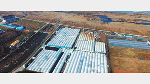 자이아쿠아팜, 국내 최대 장어양식장… 월 70만원 수익 기대