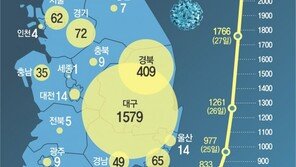 베트남 “한국인 무비자 입국 중단”… 美 “여행경보 조정할수도”