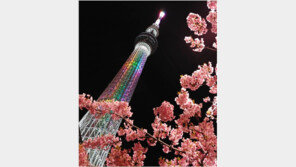 日, 벚꽃축제 일부 취소…도쿄 스카이트리 임시휴업