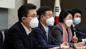 황교안 “1919년 절실한 마음처럼 2020년 위기 극복하자”