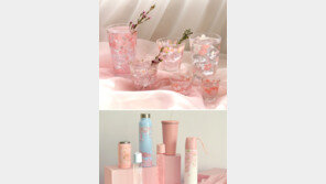 벚꽃컵 하나 들이니 화사한 봄이 거실에…