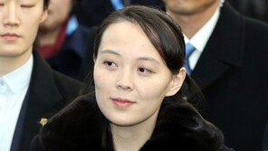 北 김여정 “靑 저능한 사고방식에 경악 표한다” 직접 비난