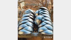 일광욕[고양이 눈]