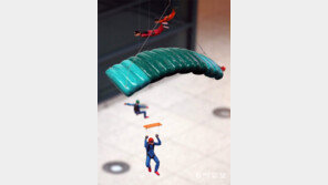 점프![고양이 눈]