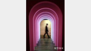 저 문 너머[고양이 눈] 