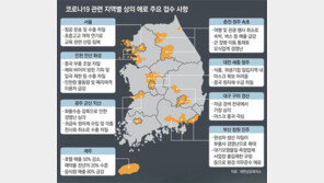 서울 항공-인천경기 수출 비명… 대구경북 자금난 시름