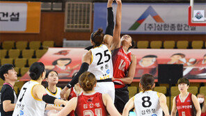 여자농구도 2주 중단… 4대 프로스포츠 모두 멈췄다