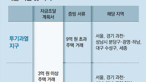 13일부터 9억 넘는 집 살땐, 자금조달계획서-증빙서 함께 내야 