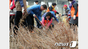 산림청, ‘내나무 갖기 한마당’ 현장 캠페인 온라인 행사로 변경