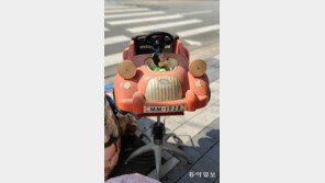 미키마우스의 추억[고양이 눈]