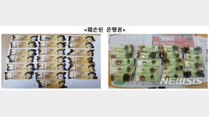 코로나 소독? 한은 “지폐 전자레인지에 돌리면 화재 위험”